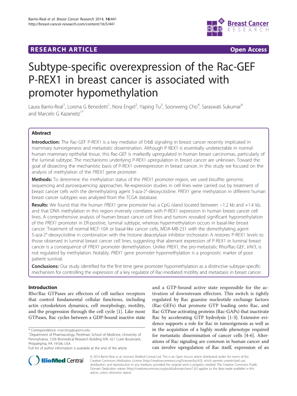 Subtype-Specific Overexpression of the Rac-GEF P-REX1 in Breast