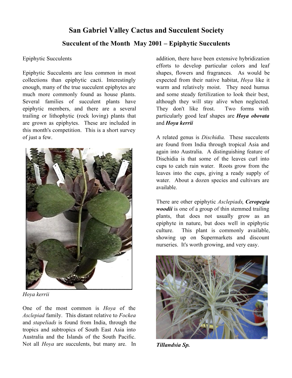 San Gabriel Valley Cactus and Succulent Society Succulent of the Month May 2001 Ð Epiphytic Succulents