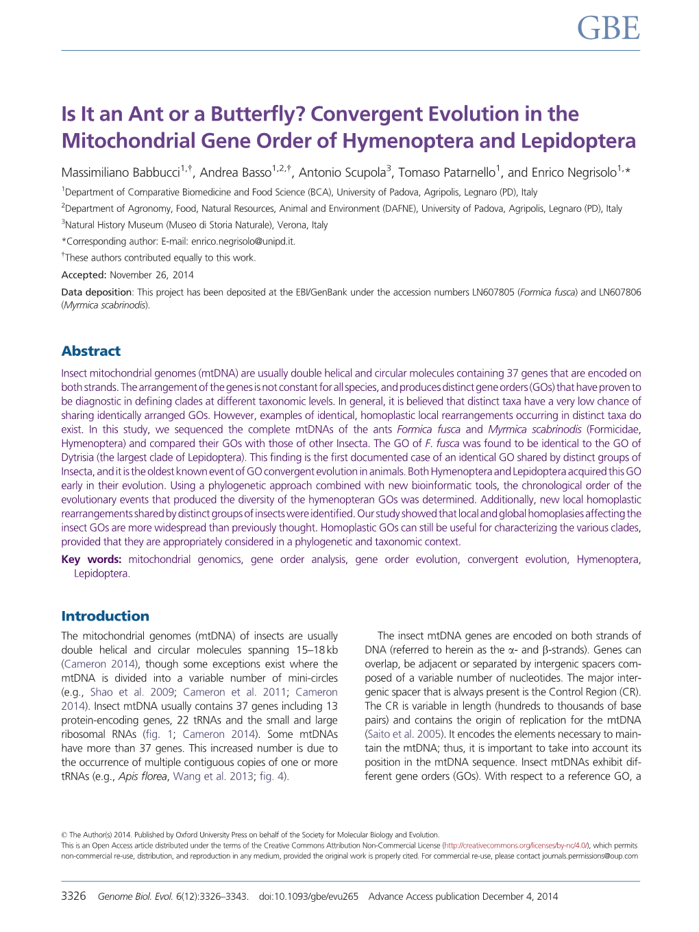 Is It an Ant Or a Butterfly? Convergent Evolution in the Mitochondrial Gene Order of Hymenoptera and Lepidoptera