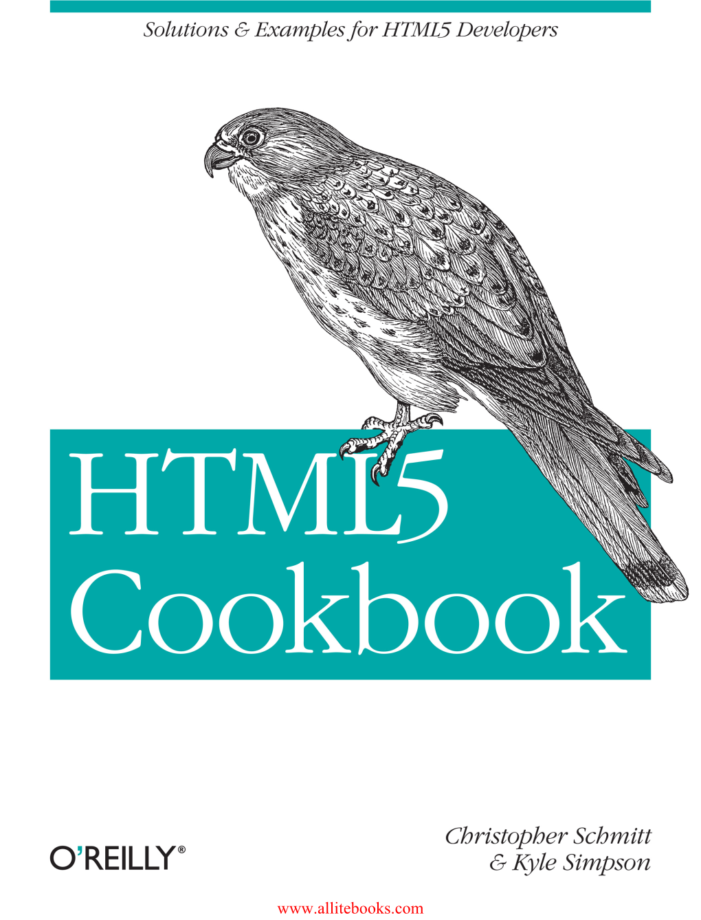 HTML5-Cookbook.Pdf