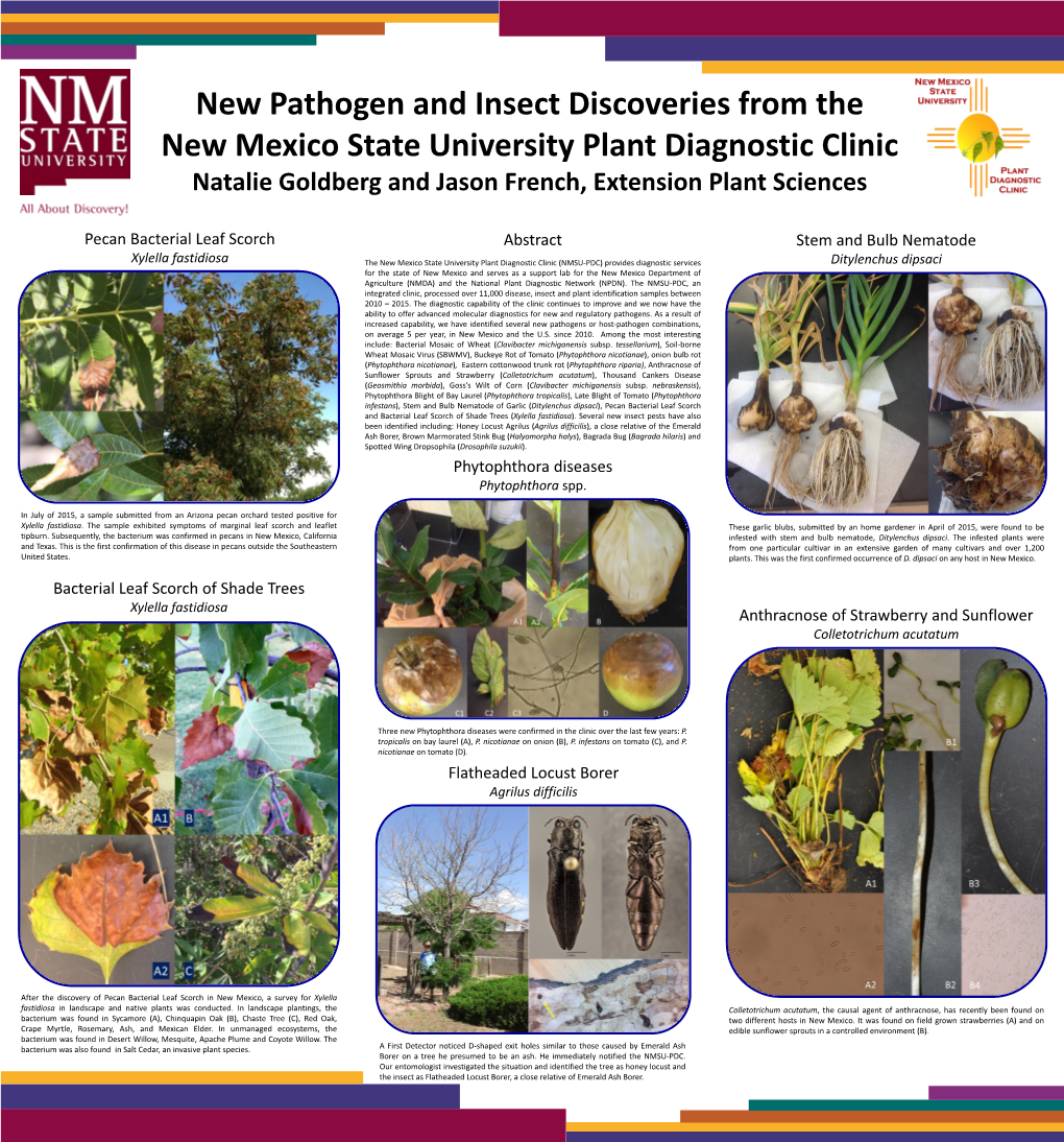 New Pathogen and Insect Discoveries from the New Mexico State University Plant Diagnostic Clinic Natalie Goldberg and Jason French, Extension Plant Sciences