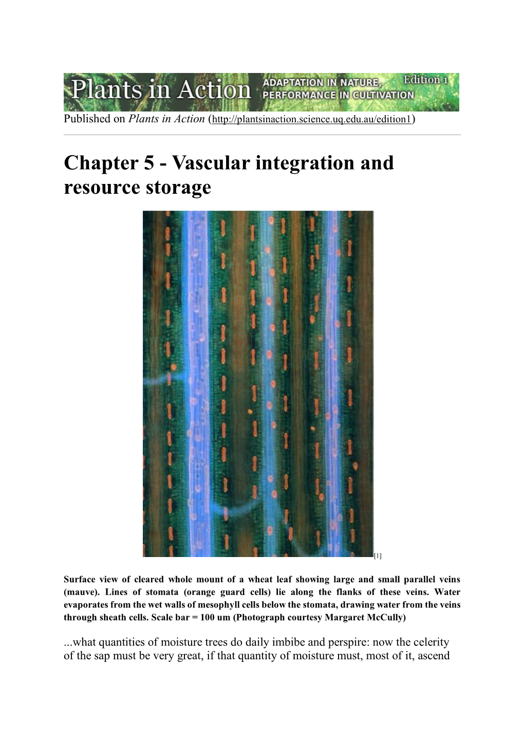 Vascular Integration and Resource Storage