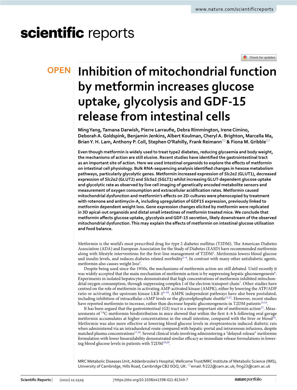 Inhibition of Mitochondrial Function by Metformin Increases Glucose