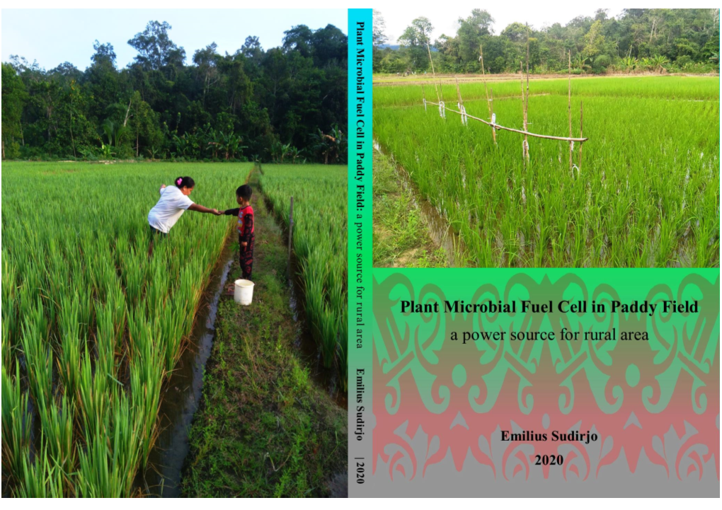 Plant Microbial Fuel Cell in Paddy Field: a Power Source for Rural Area”