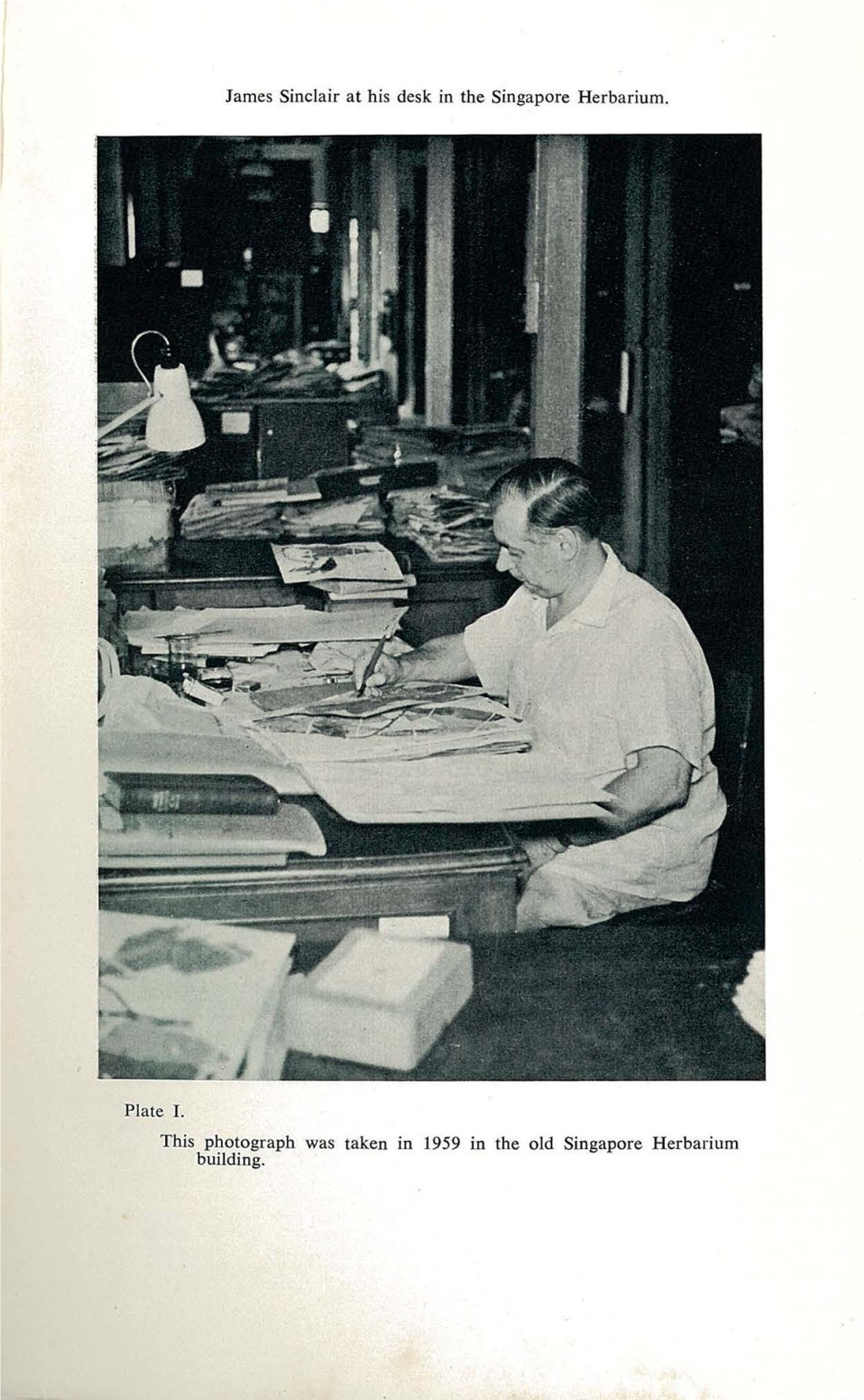 James Sinclair at His Desk in the Singapore Herbarium. Plate I. This