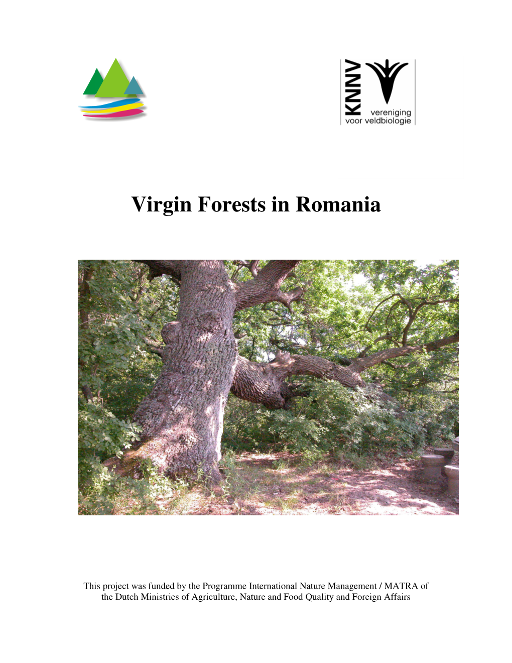 Virgin Forests in Romania