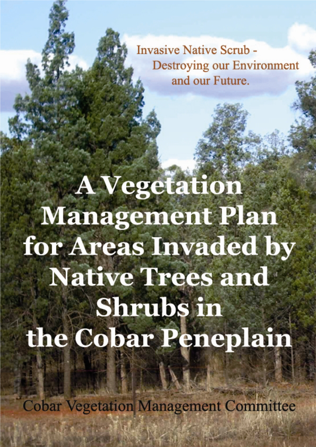 Submission on the Review of the Native Vegetation Regulation