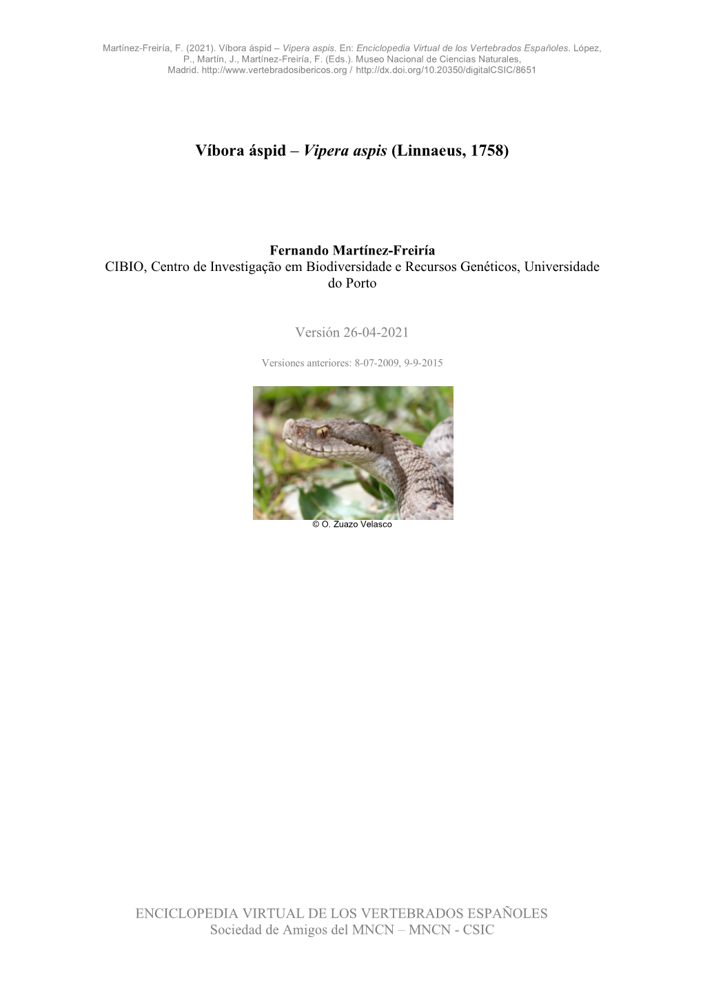 Víbora Áspid – Vipera Aspis (Linnaeus, 1758)