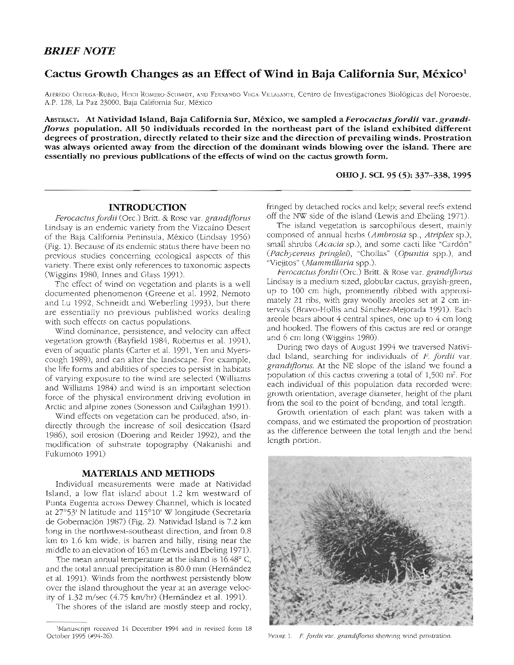 BRIEF NOTE Cactus Growth Changes As an Effect of Wind in Baja California Sur, México1