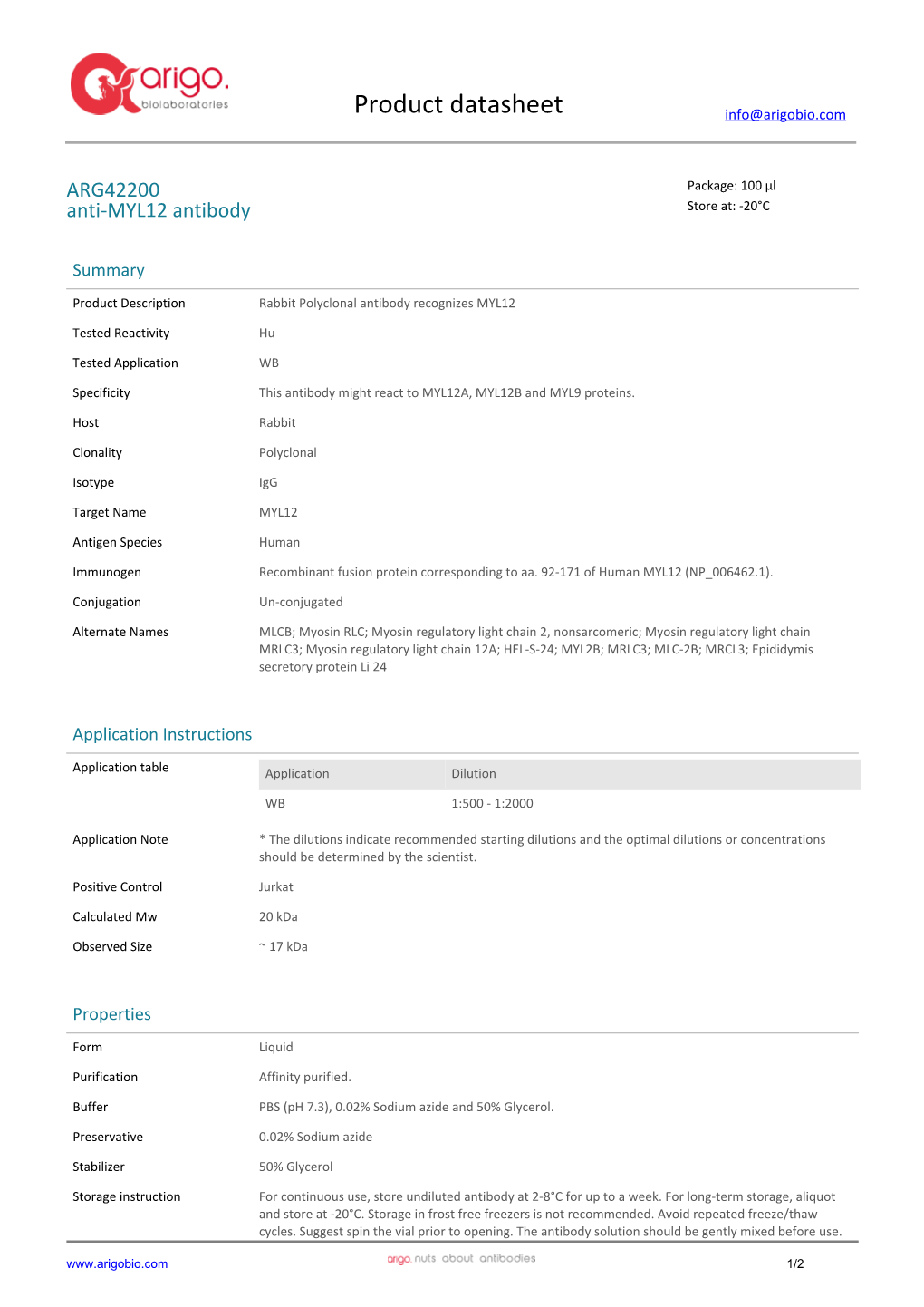 Anti-MYL12 Antibody (ARG42200)