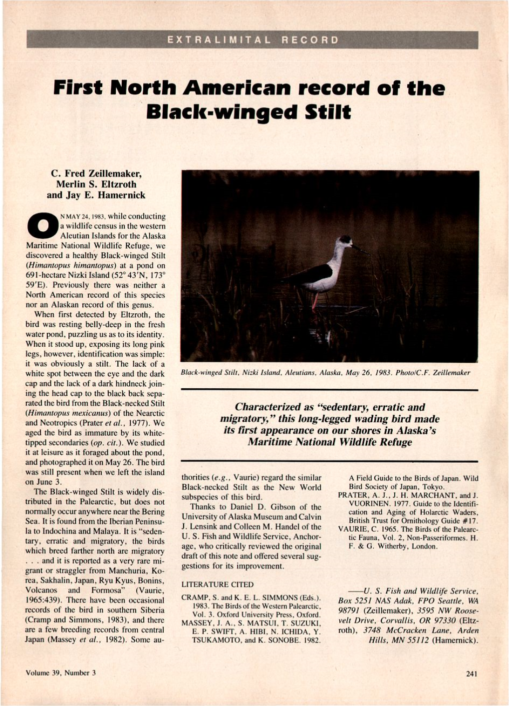 First North American Record of the Black-Winged Stilt