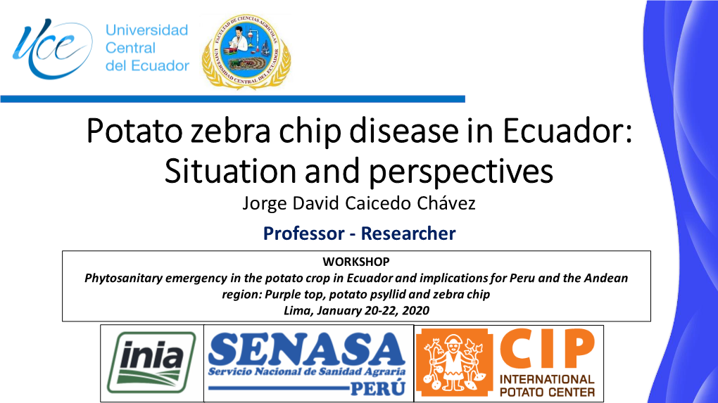 Potato Zebra Chip Disease in Ecuador: Situation and Perspectives