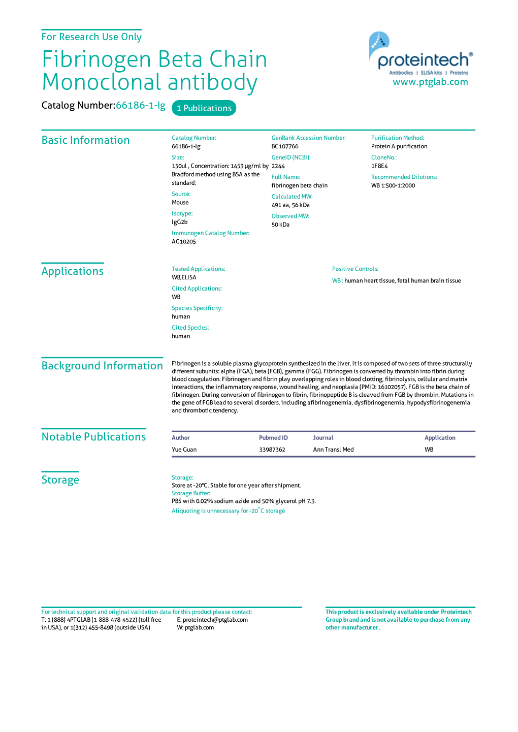 Fibrinogen Beta Chain Monoclonal Antibody Catalog Number:66186-1-Ig 1 Publications