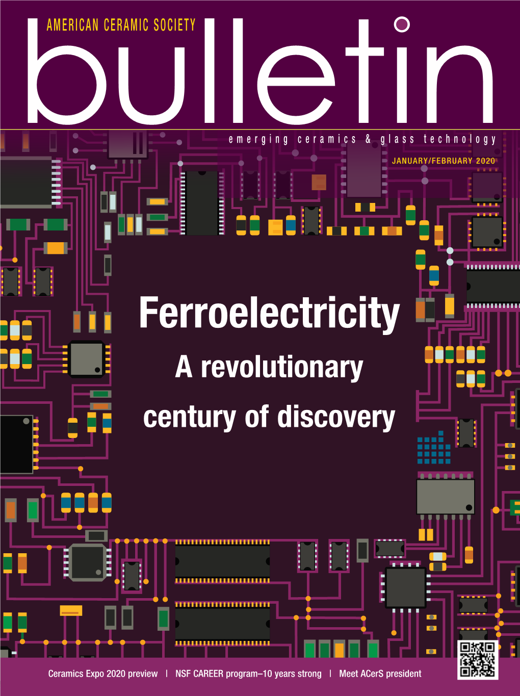 Ferroelectricity a Revolutionary Century of Discovery