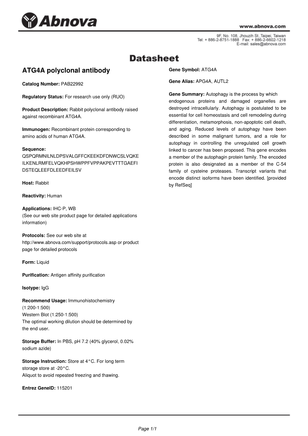 ATG4A Polyclonal Antibody Gene Symbol: ATG4A