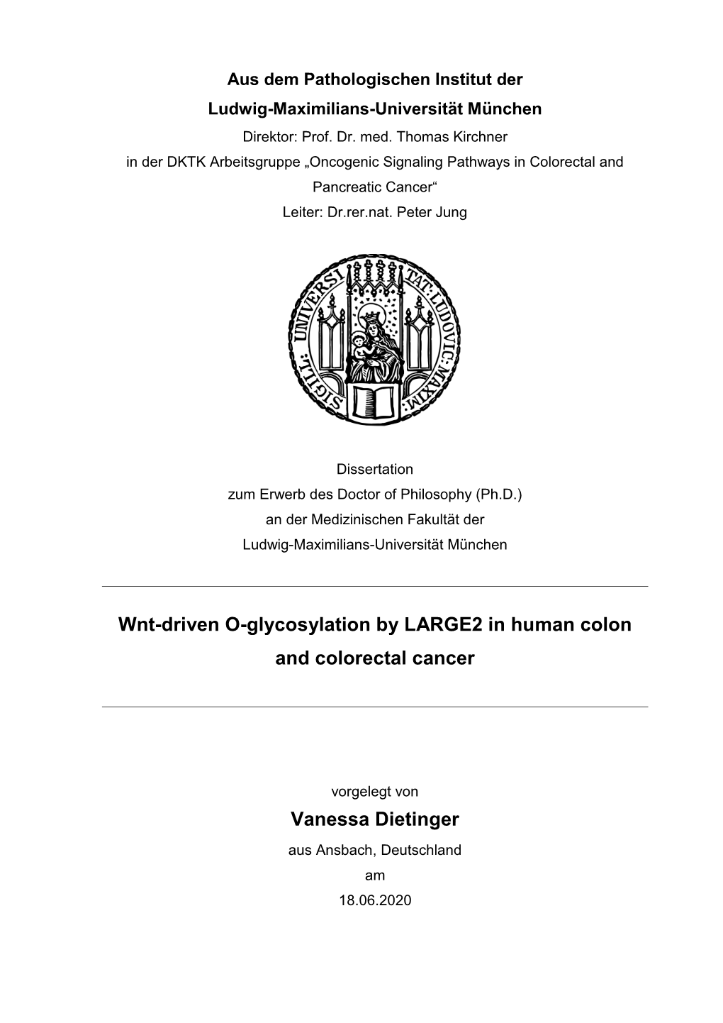 Wnt-Driven O-Glycosylation by LARGE2 in Human Colon and Colorectal Cancer