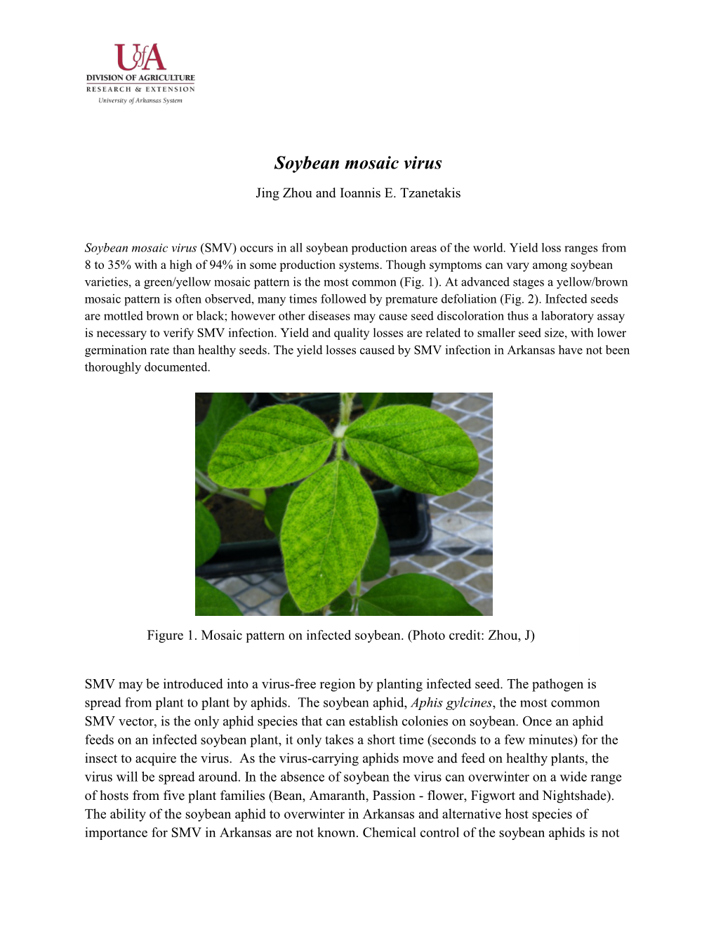 Soybean Mosaic Virus Jing Zhou and Ioannis E