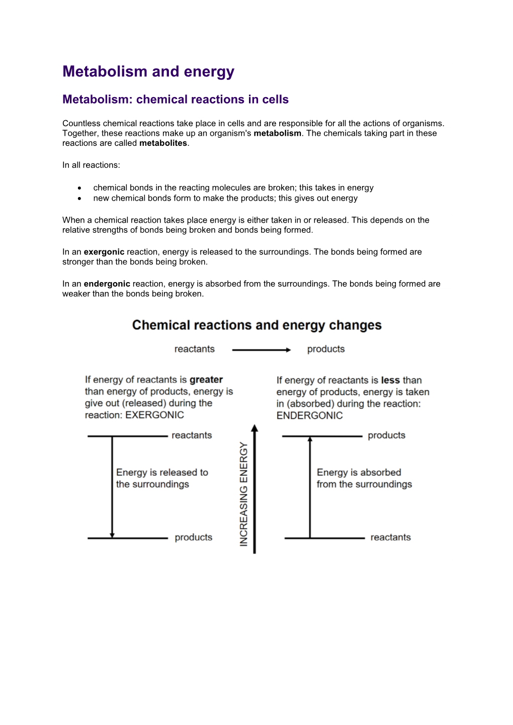 Metabolism and Energy