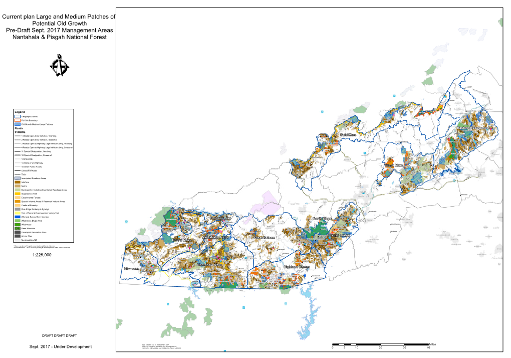 Current Plan Large and Medium Patches of Potential Old Growth Pre-Draft Sept