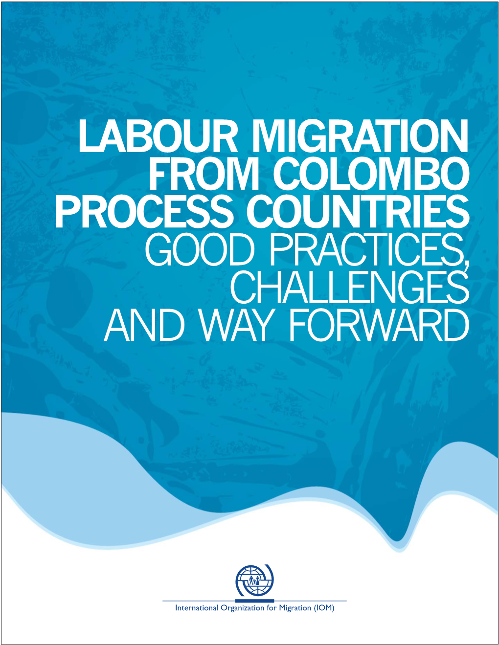 Labour Migration from Colombo Process