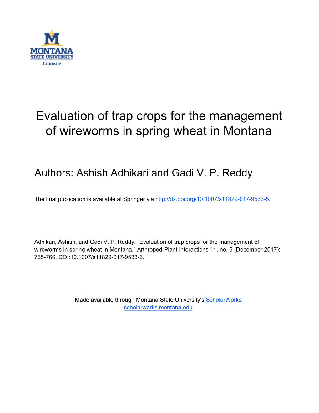 Evaluation of Trap Crops for the Management of Wireworms in Spring Wheat in Montana