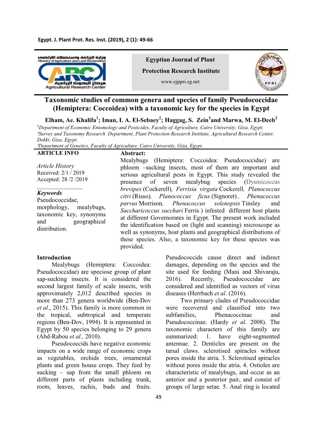 (Hemiptera: Coccoidea) with a Taxonomic Key for the Species in Egypt