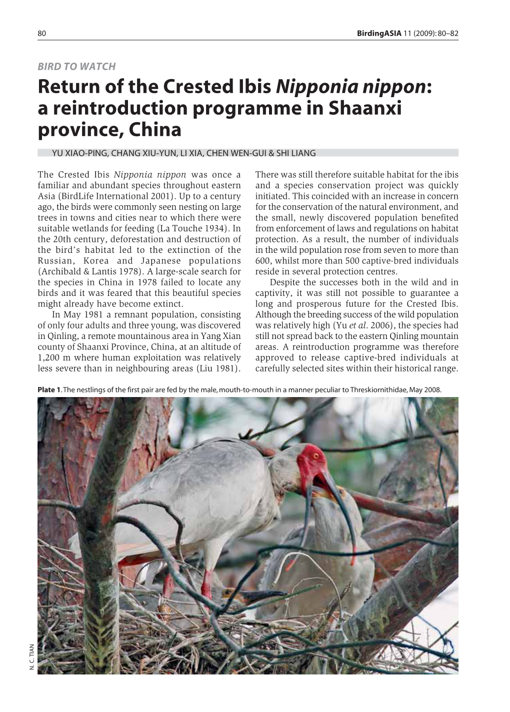 Return of the Crested Ibis Nipponia Nippon: a Reintroduction Programme in Shaanxi Province, China YU XIAO-PING, CHANG XIU-YUN, LI XIA, CHEN WEN-GUI & SHI LIANG