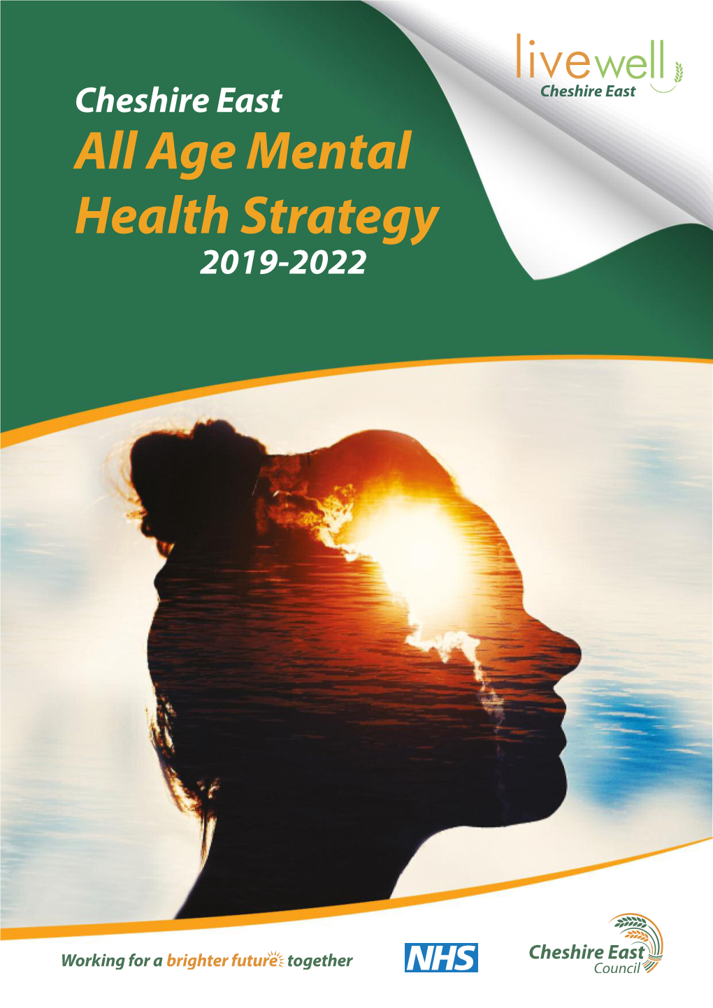 Cheshire East Council- Adults Mental Health Spend 2017/18 38 Mental Health Strategy Action Plan 39 Cheshire East All Age Mental Health Strategy 2019-2022 | 3