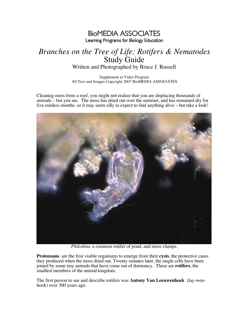 Branches on the Tree of Life: Rotifers & Nematodes Study Guide