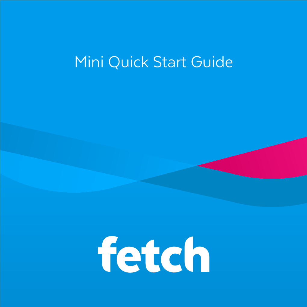 Mini Quick Start Guide What’S Inside