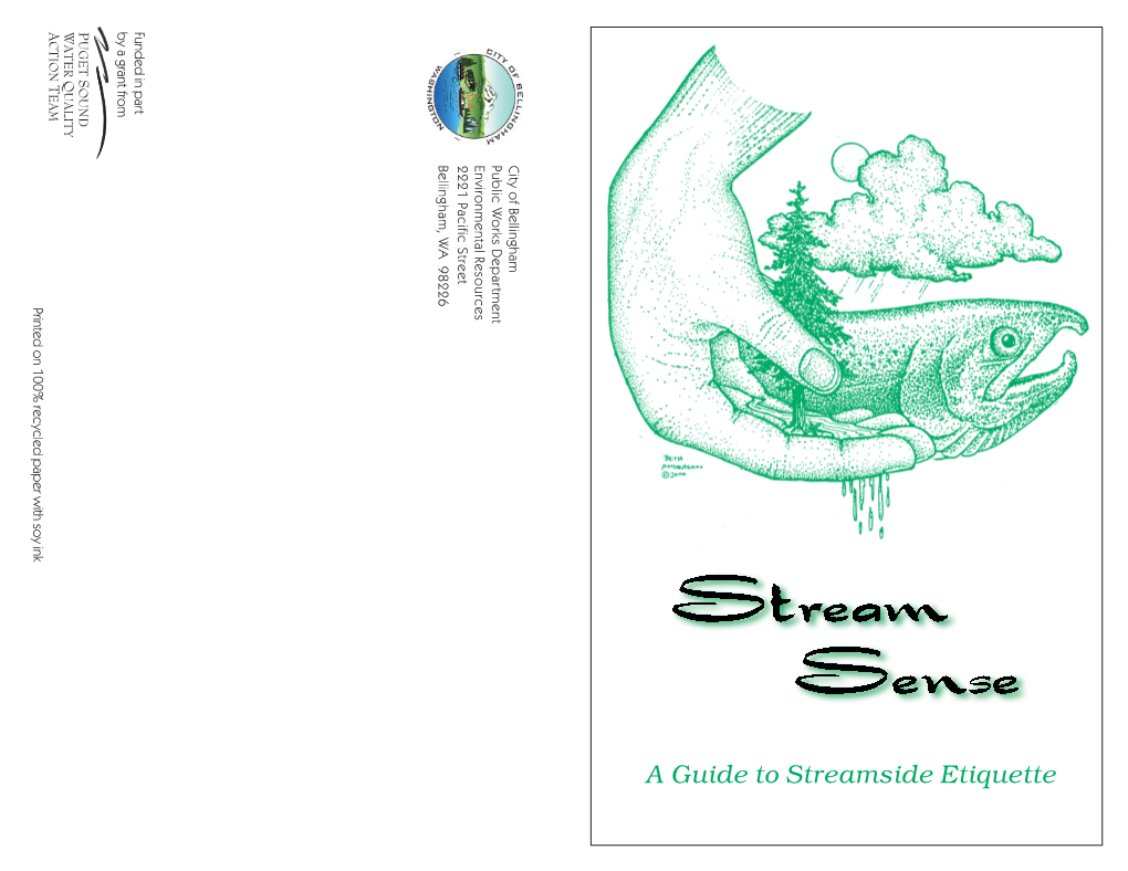 Stream Sense Brochure