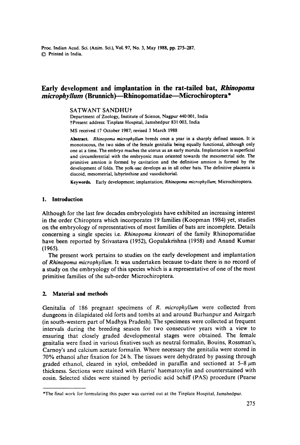 Early Development and Implantation in the Rat-Tailed Bat, <Emphasis Type=