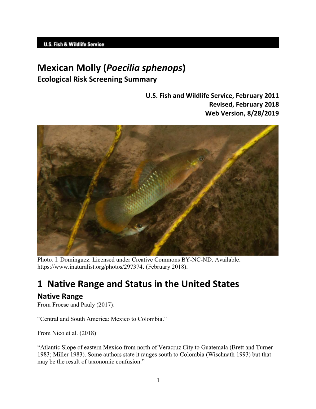 Poecilia Sphenops (Mexican Molly) Ecological Risk Screening Summary