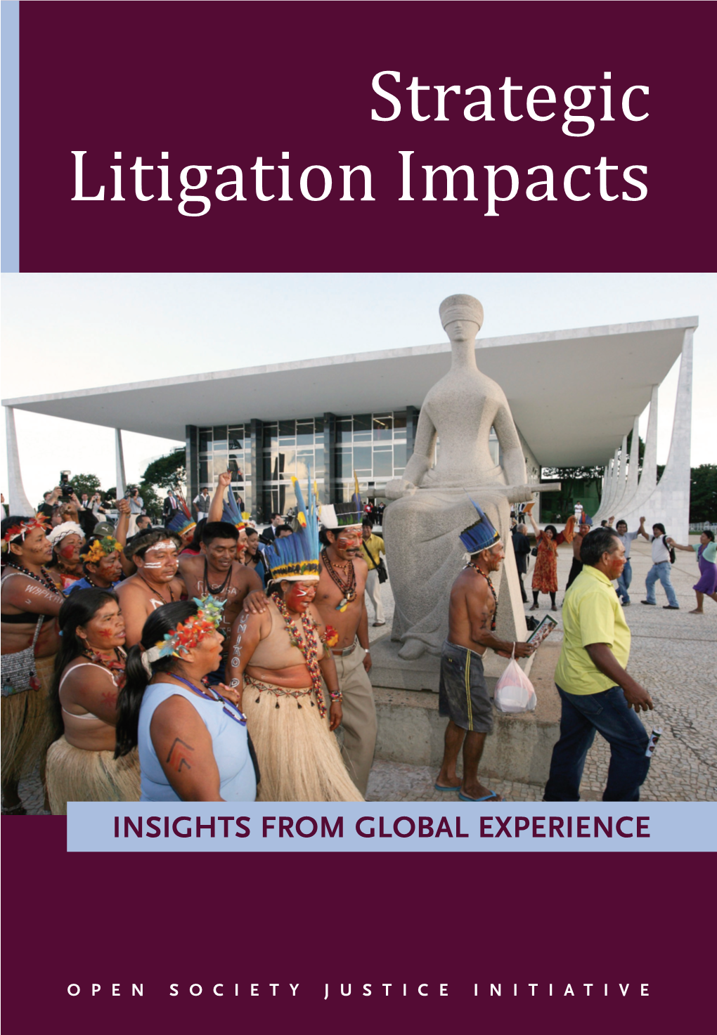 Strategic Litigation Impacts