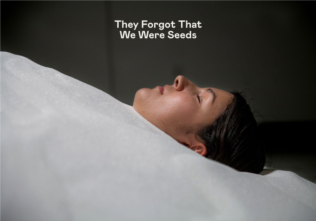 They Forgot That We Were Seeds KC Adams Deanna Bowen Roxana Farrell Bushra Junaid Amy Malbeuf Meryl Mcmaster Cheyenne Sundance Katherine Takpannie