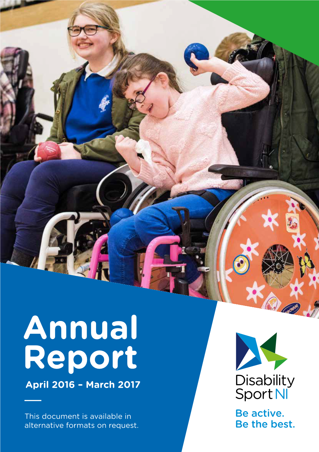 Annual Report April 2016 – March 2017