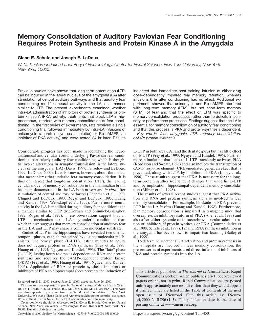 Memory Consolidation of Auditory Pavlovian Fear Conditioning Requires Protein Synthesis and Protein Kinase a in the Amygdala