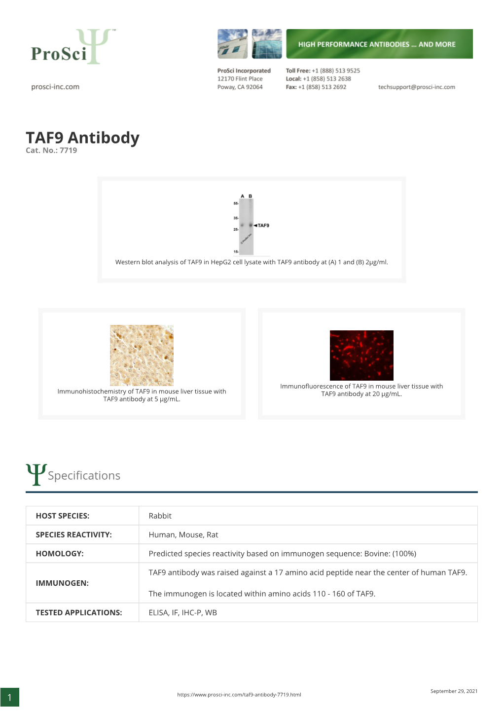TAF9 Antibody Cat