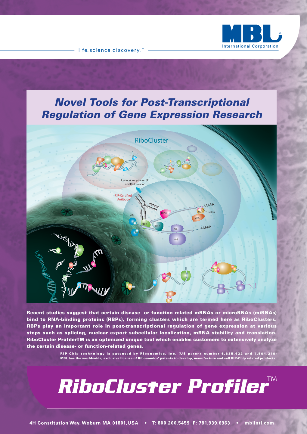 Novel Tools for Post-Transcriptional Regulation of Gene Expression