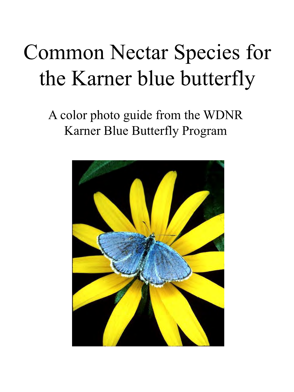 Common Nectar Species for the Karner Blue Butterfly