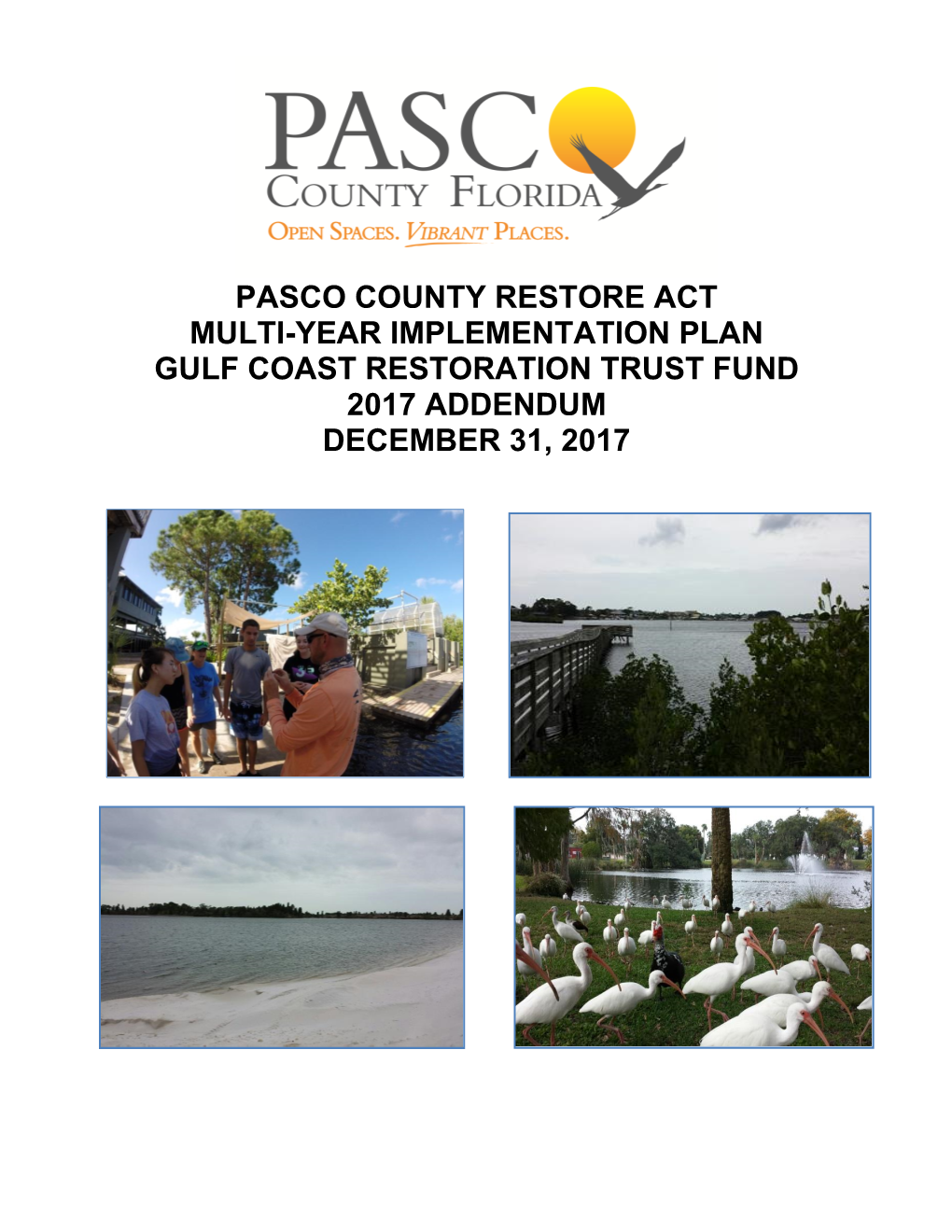 Pasco County Restore Act Multi-Year Implementation Plan Gulf Coast Restoration Trust Fund 2017 Addendum December 31, 2017