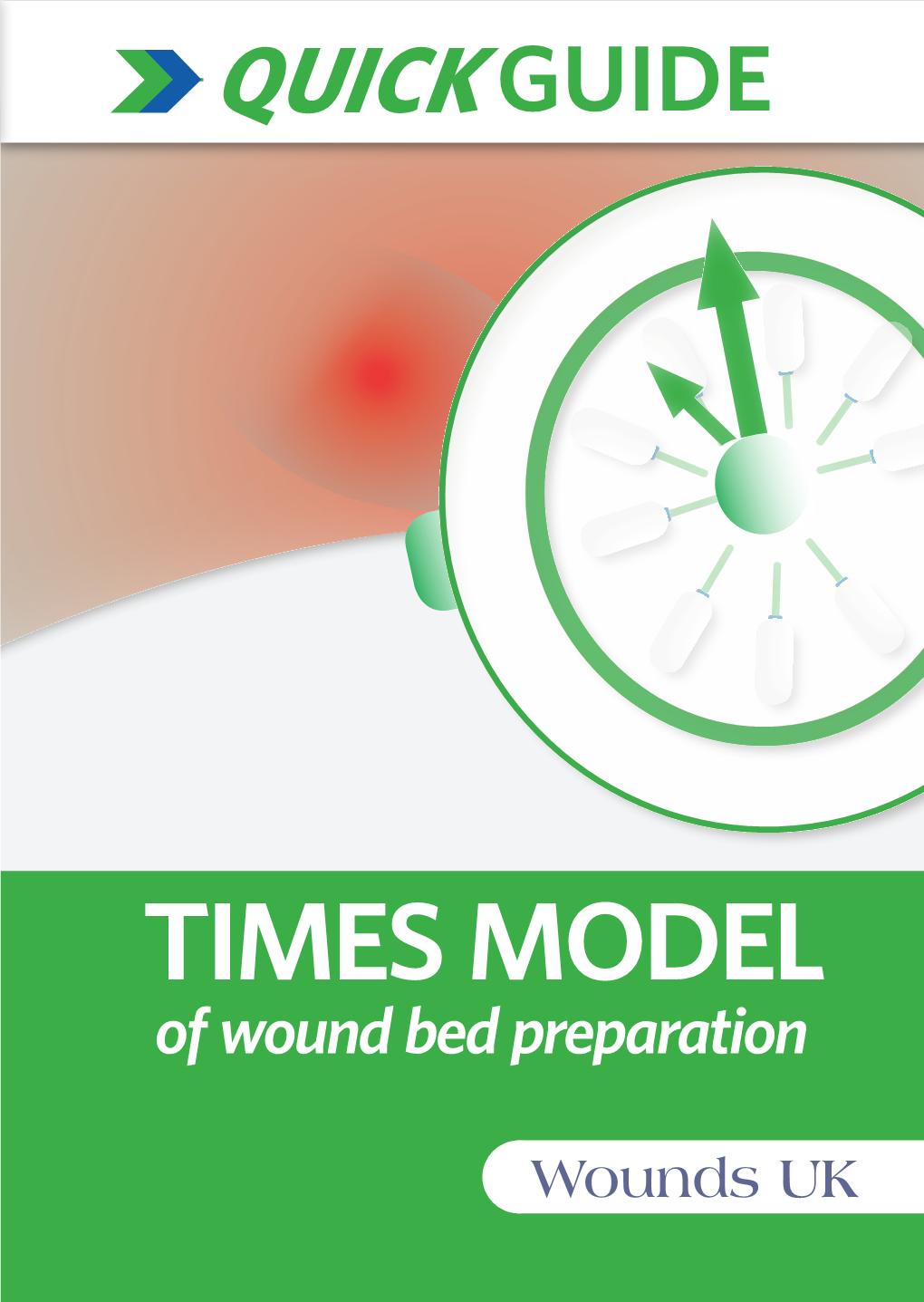 TIMES MODEL of Wound Bed Preparation