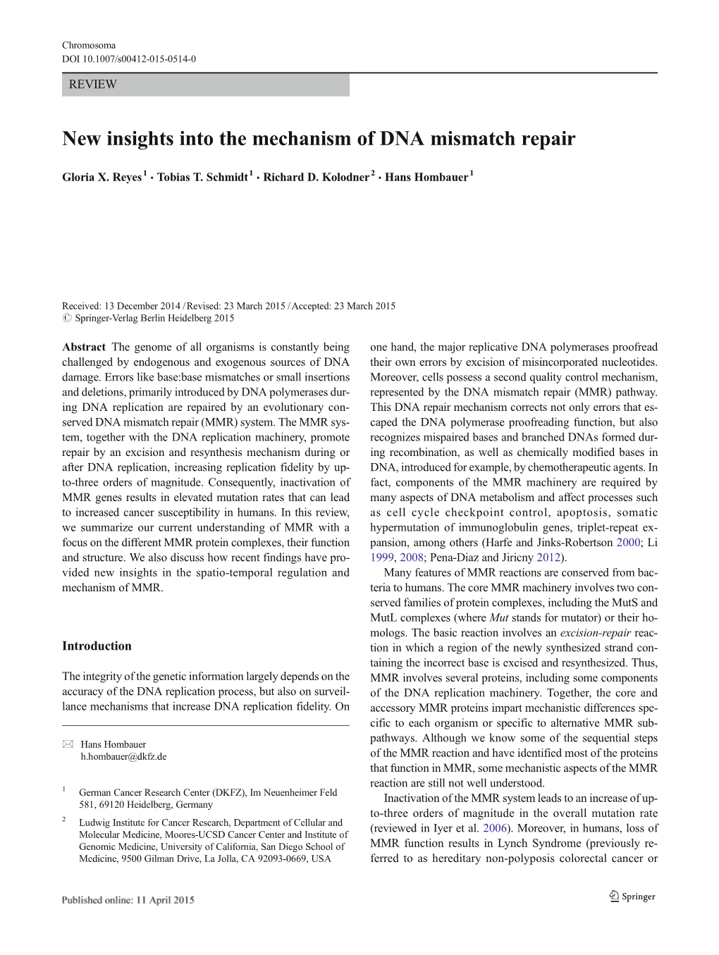 New Insights Into the Mechanism of DNA Mismatch Repair