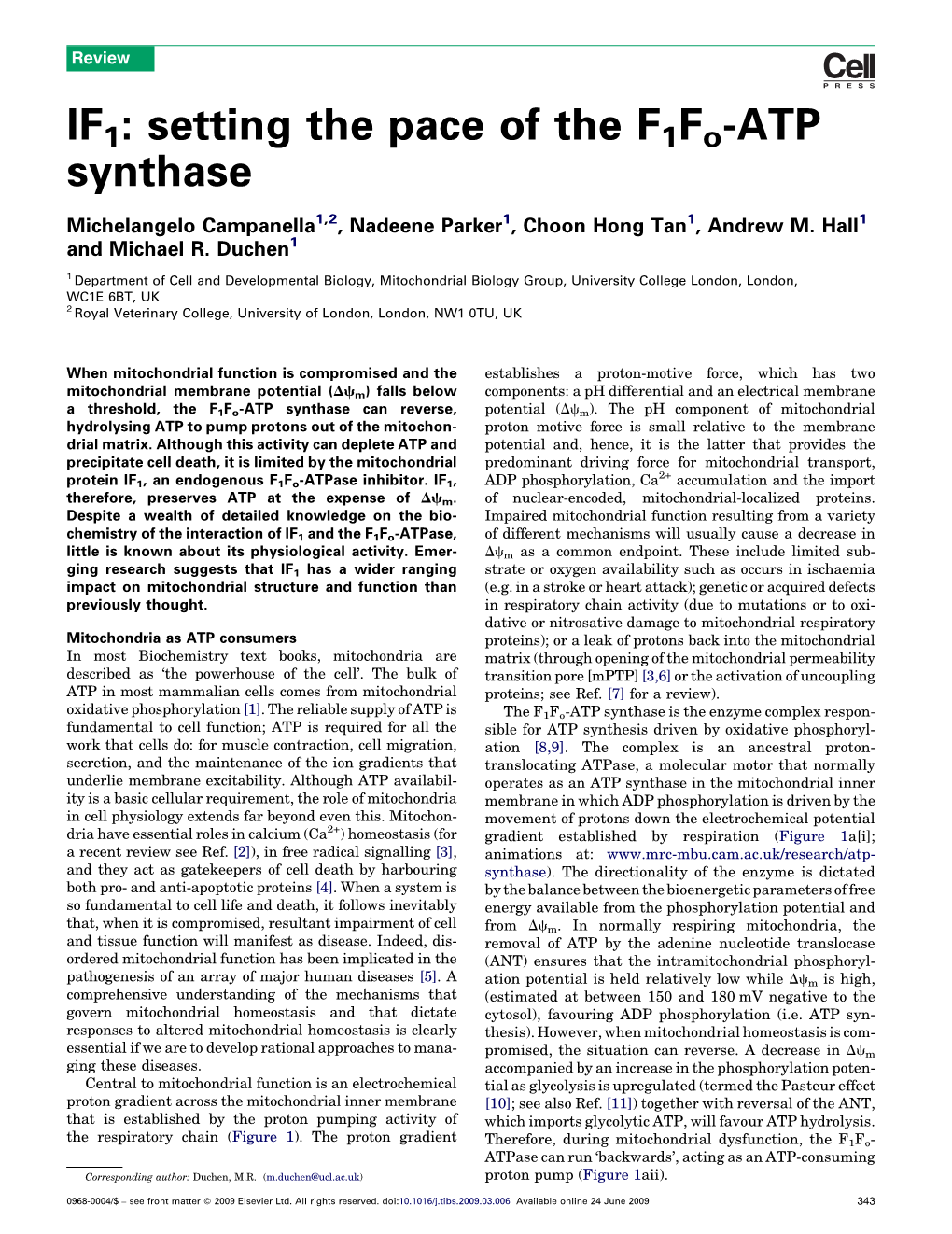 IF1 : Setting the Pace of the F1 Fo -ATP Synthase