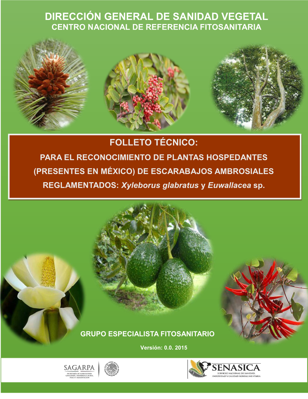 Dirección General De Sanidad Vegetal Centro Nacional De Referencia Fitosanitaria