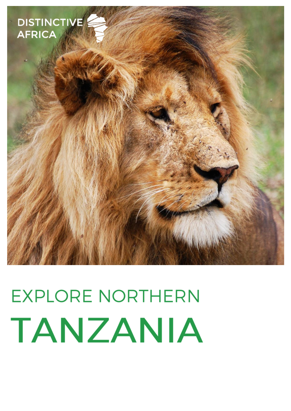 Explore Northern Tanzania