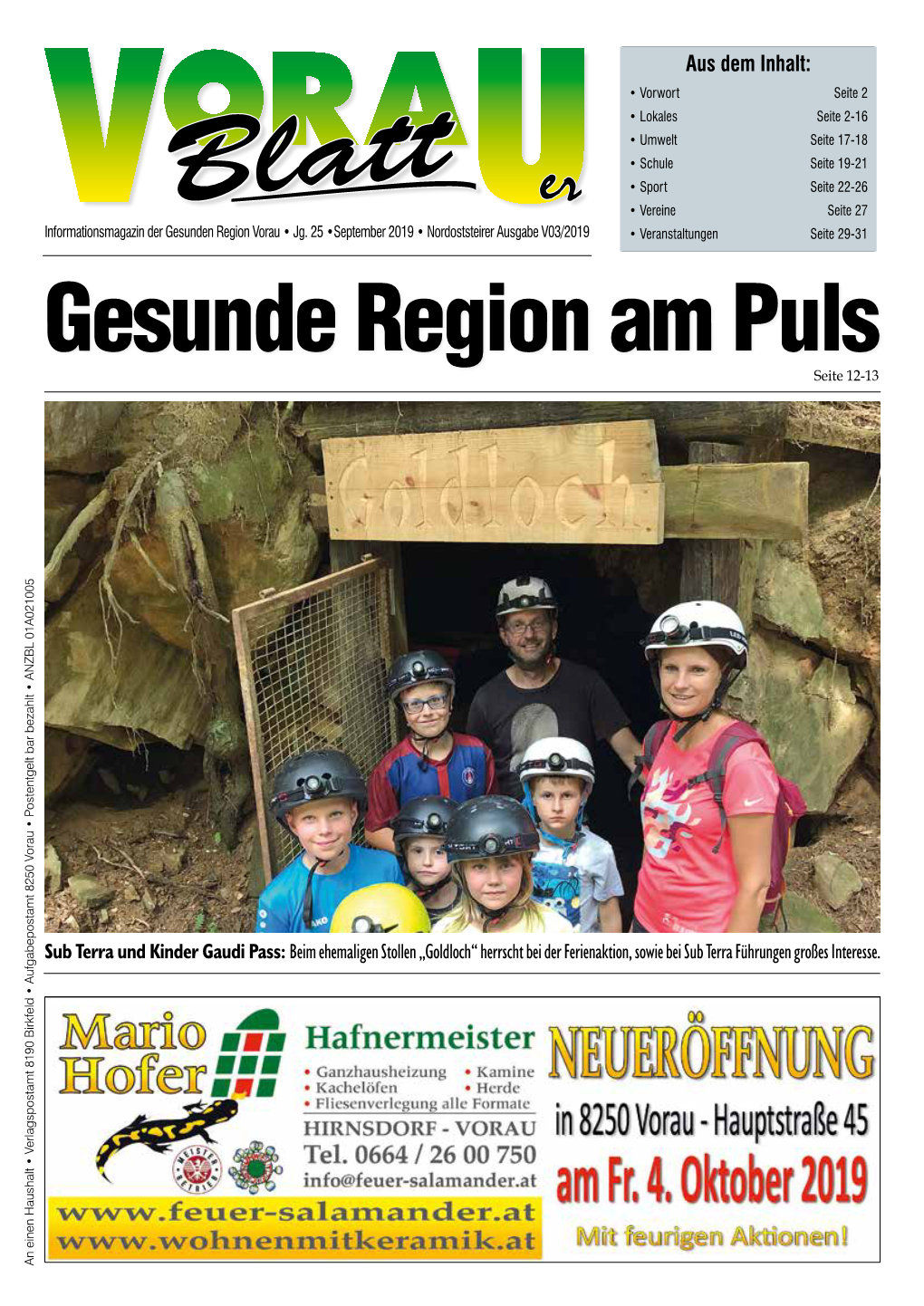 Gesunde Region Am Puls