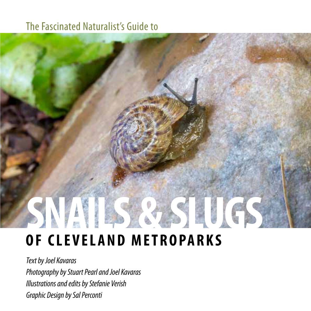 Snails & Slugs