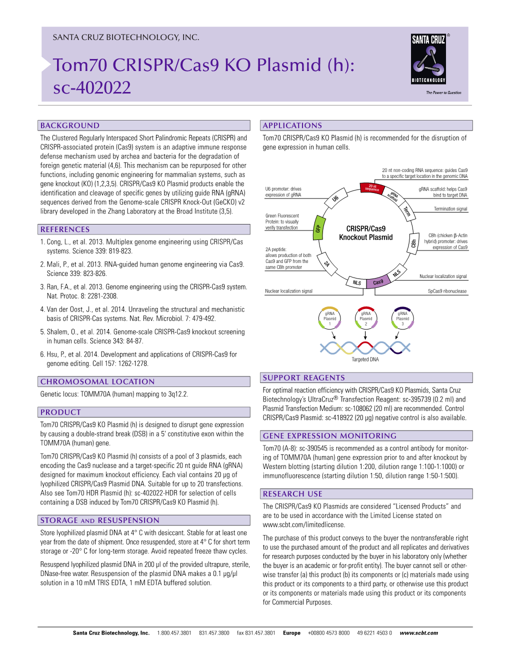 Tom70 CRISPR/Cas9 KO Plasmid (H): Sc-402022