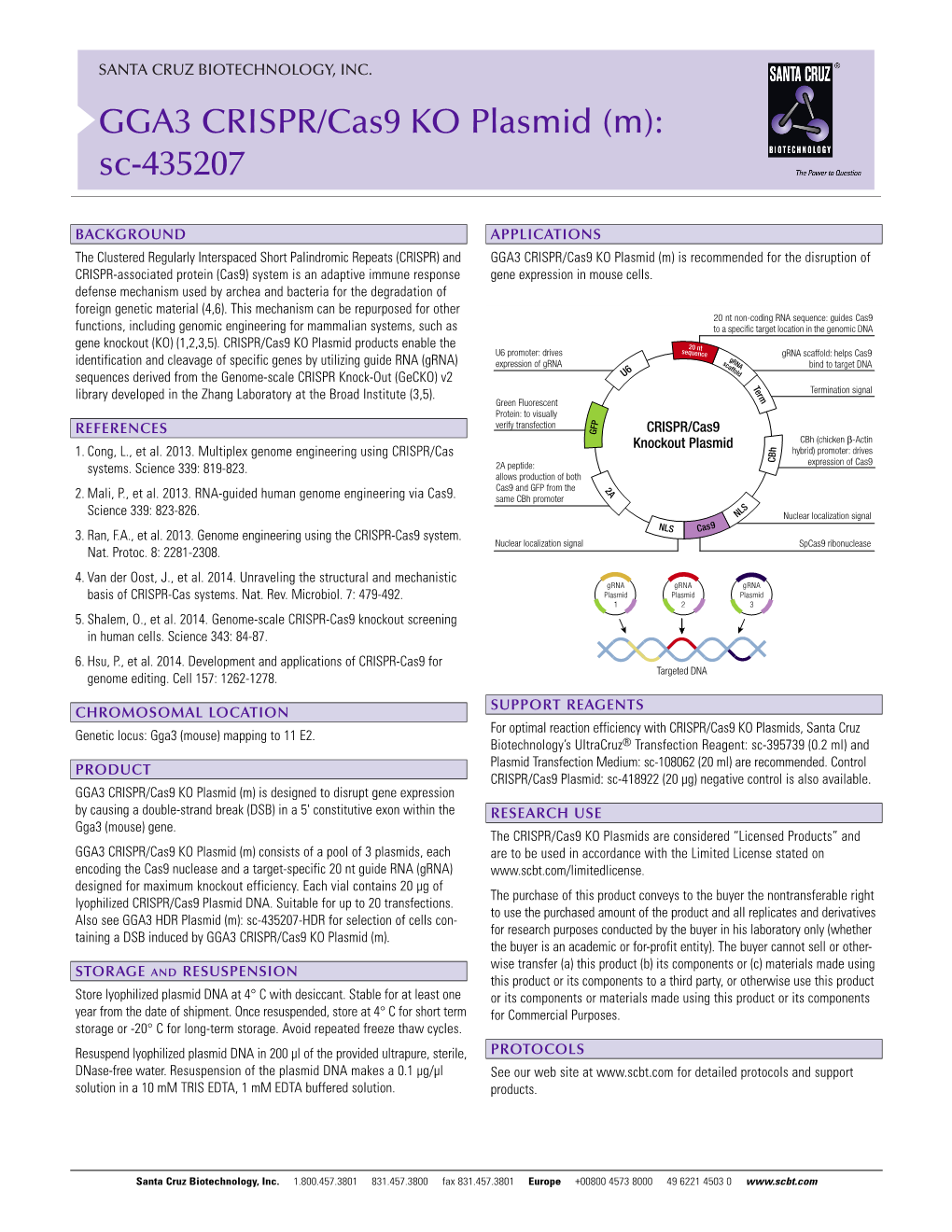 GGA3 CRISPR/Cas9 KO Plasmid (M): Sc-435207